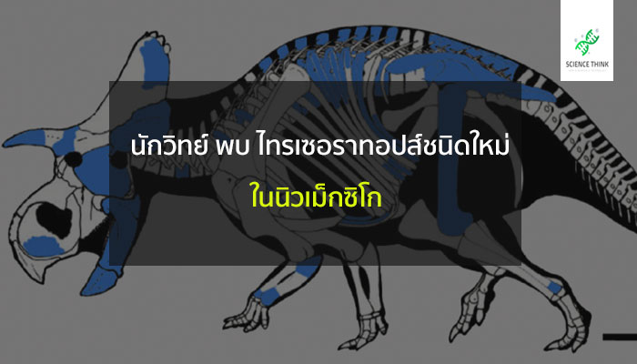 ไทรเซอราทอปส์ พันธุ์ใหม่