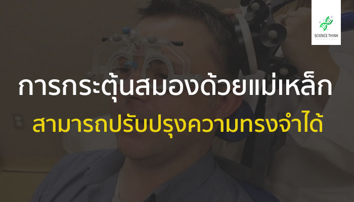 ความทรงจำ กระตุ้นสมอง