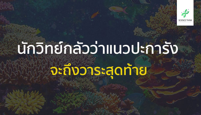 แนวปะการัง วาระสุดท้าย