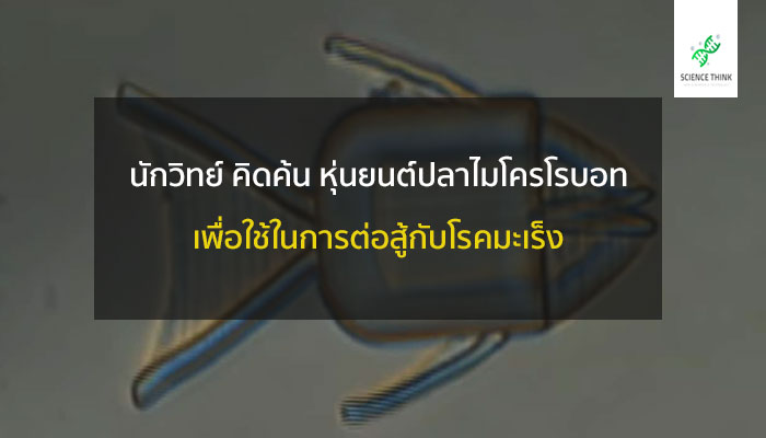 หุ่นยนต์ปลา รักษามะเร็ง