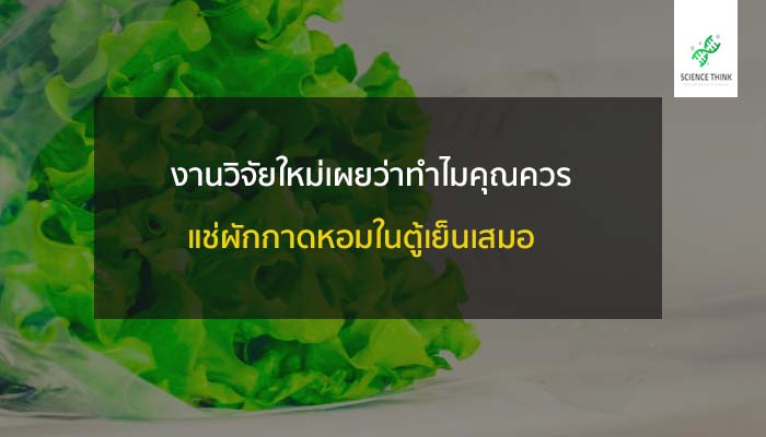 ผักกาดขาว