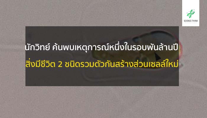 จุลินทรีย์ รวมกัน