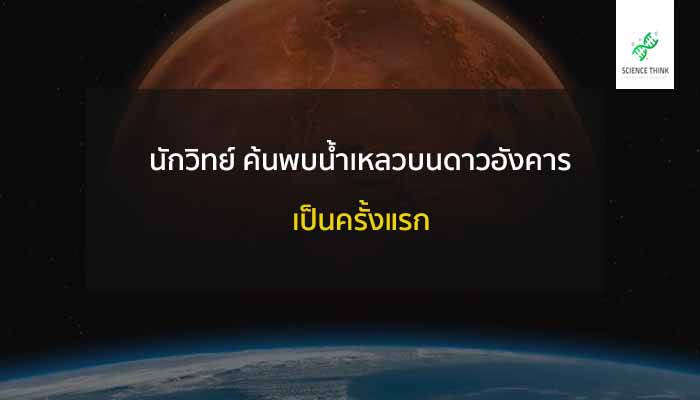 พบสิ่งมีชีวิต บน ดาวอังคาร