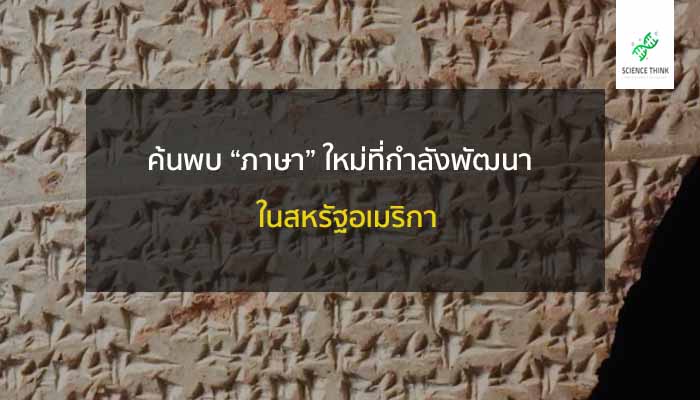 ภาษา ใหม่